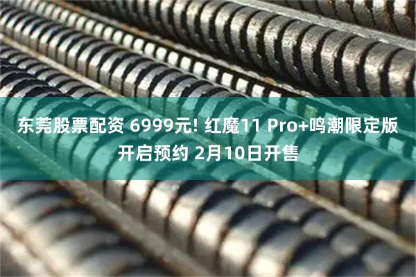 东莞股票配资 6999元! 红魔11 Pro+鸣潮限定版开启预约 2月10日开售